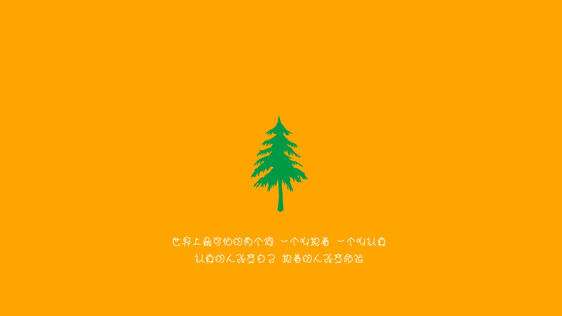 比利时马术协会推出马术运动员职业发展规划，促进人才培养。，比利时马犬介绍资料