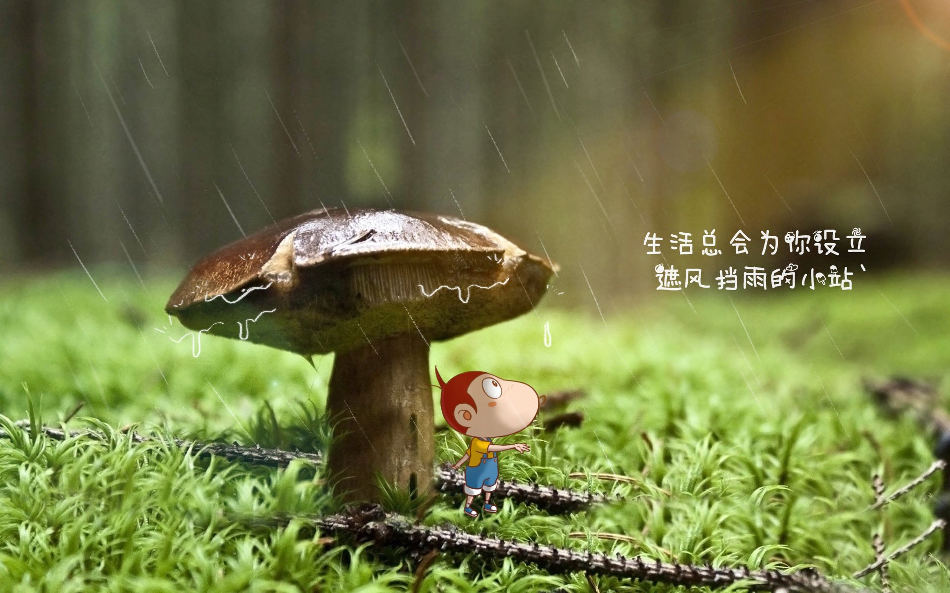 帕尔马拿下重要胜利，积分榜上升，帕尔马队