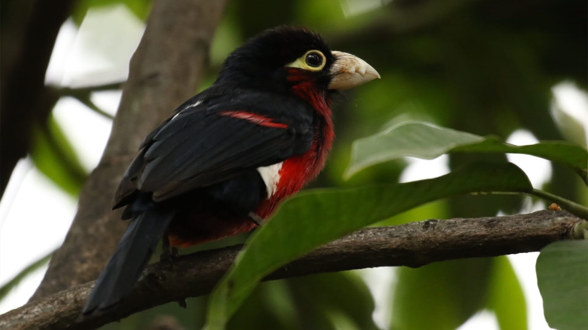 开云官方网站-陈佳50米蝶泳半程领先奠定胜局，50米蝶泳成绩